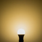 Preview: Isoled Baufassung E27 SET mit Federklemme, Öse und fix montierte LED bulb 9W, warmweiß 117173