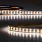Preview: Isoled LED CRI919/940 CCT Flexband, 24V DC, 20W/20W, IP20, 5m Rolle, 480 LED/m 117279