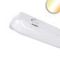 Preview: Isoled LED Wannenleuchte SL 60cm, IP66, PowerSwitch 14-20W, 140lm/W, ColorSwitch 3000/4000/5700K 117308