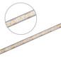 Preview: Isoled LED CRI918/940 CCT Flexband, 48V DC, 6W+6W, IP67, 20m Rolle, 256 LED/m 117592