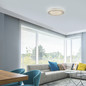 Preview: JUST LIGHT LAGO LED Deckenleuchte CCT Dimmbar 20W weiss 14296-16
