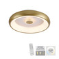 Preview: JUST LIGHT VERTIGO LED Deckenleuchte CCT Dimmbar 29W messingmatt 14384-60