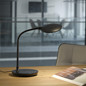 Preview: JUST LIGHT ASTRID LED Tischleuchte CCT Dimmbar 5W schwarz 14416-18