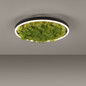 Preview: JUST LIGHT GERDA RITUS LED Deckenleuchte Warmweiss Dimmbar 20W moos 15391-66