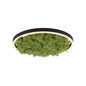 Preview: JUST LIGHT GERDA RITUS LED Deckenleuchte Warmweiss Dimmbar 20W moos 15391-66