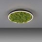 Preview: JUST LIGHT GERDA RITUS LED Deckenleuchte Warmweiss Dimmbar 20W moos 15391-66