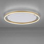 Preview: JUST LIGHT RITUS LED Deckenleuchte Warmweiss Dimmbar 28W messingmatt 15392-60