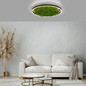 Preview: JUST LIGHT GERDA RITUS LED Deckenleuchte Warmweiss Dimmbar 28W moos 15392-66