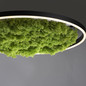 Preview: JUST LIGHT GERDA RITUS LED Deckenleuchte Warmweiss Dimmbar 28W moos 15392-66