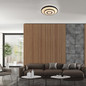 Preview: JUST LIGHT TURANUS LED Deckenleuchte Warmweiss 17W schwarz 15454-18