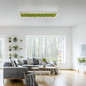 Preview: JUST LIGHT GERDA KNUT LED Deckenleuchte Warmweiss Dimmbar 25W moos 15623-66