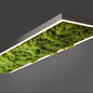 Preview: JUST LIGHT GERDA KNUT LED Deckenleuchte Warmweiss Dimmbar 25W moos 15623-66
