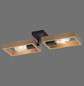 Preview: JUST LIGHT FRANKY Wand- und Deckenleuchte E27 max. 60W 2-fach schwarz 15657-18