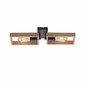 Preview: JUST LIGHT FRANKY Wand- und Deckenleuchte E27 max. 60W 2-fach schwarz 15657-18