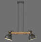 Preview: JUST LIGHT CUP 2.0 Pendelleuchte E27 max. 60W 2-fach schwarz 15742-18