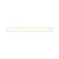 Preview: Paul Neuhaus FLAT LED Deckenleuchte CCT Dimmbar 21W weiss 16537-16-O