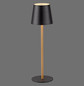 Preview: JUST LIGHT EURIA LED AKKU-Tischleuchte Warmweiss Dimmbar 2,5W schwarz/messing IP54 19250-68