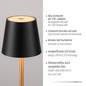 Preview: JUST LIGHT EURIA LED AKKU-Tischleuchte Warmweiss Dimmbar 2,5W schwarz/messing IP54 19250-68
