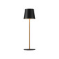 Preview: JUST LIGHT EURIA LED AKKU-Tischleuchte Warmweiss Dimmbar 2,5W schwarz/messing IP54 19250-68