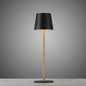 Preview: JUST LIGHT EURIA LED AKKU-Tischleuchte Warmweiss Dimmbar 2,5W schwarz/messing IP54 19250-68