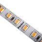 Preview: Kanlux 33355 LED Streifen L120 16W/M warmweiss 3000K 24V