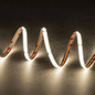 Preview: Kanlux LED Streifen 5m LCOB 19W/m 24V RGB + neutralweiss 4000K 90Ra dimmbar 12mm 38913
