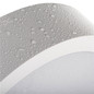 Preview: Kanlux LED Deckenleuchte Daber 20W einstellbar CCT warm-/neutralweiss 3000K/3500K/4000K Bewegungsmelder IP66 Weiß Ø30cm 39025