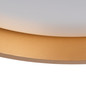 Preview: Kanlux LED Deckenleuchte Soln 25W CCT warm-/tageslichtweiss 2700-6500K 90Ra dimmbar Fernbedienung Schwarz Gold Metall Ø38cm 39111