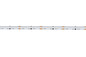 Preview: Kanlux LED Streifen 5m LCOB 16W/m 24V RGB 10mm 39788