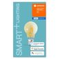 Mobile Preview: LEDVANCE LED SMART E27 5.5W dimmbar 600Lm 2500K 4058075208582