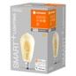Preview: LEDVANCE SMART+ extrawarme LED Design-Lampe WLAN E27 Filament 6W 680lm warmweiss 2400K dimmbar wie 53W 4058075610545