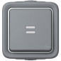 Preview: Legrand Plexo55 Wipptaster Schließer 1-polig beleuchtet Feuchtraum Aufputz grau 069722
