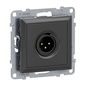 Preview: Legrand SEANO XLR-Dose 3-polig männlich, Einsatz inklusive Abdeckung, Schraubklemmen: 0,5mm2, Anthrazit, 765462