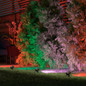 Preview: Müller Licht LED Outdoor Wegeleuchte tint LED-Gartenspots Flores, 3er-Set, Gen2, white+color 404041