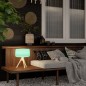Preview: NewGarden CHLOE 35 SMARTTECH LED Garten-Tischlampe dimmbar 35cm + RGB, Akku, Fernbedienung Innen & Außen IP65