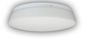 Preview: Niermann LED Nurglasleuchte Opal Glas matt 25cm, warmweiss, Made in EU