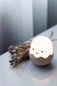 Preview: Mega Light Eggy & Friends LED Nachtlicht Warmweiss dimmbar Eggy Egg 1,2W Weiß