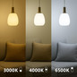 Preview: Nordlux LED Lampe E27 A60 8W 900lm 3000/4000/6500K CCT warm-, neutral-, tageslichtweiß 90Ra Weiß Energetic 2672002701