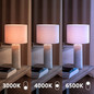 Preview: Nordlux LED Lampe GU10 PAR16 5W 395lm 3000/4000/6500K CCT warm-, neutral-, tageslichtweiß 90Ra Weiß Energetic 2672011000