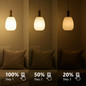 Preview: Nordlux LED Lampe E27 A60 4,9W 806lm 2700K warmweiß dimmbar Klar Energetic 5251000221