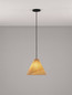 Preview: Nova Luce Pendelleuchte Elysian E27 Natur Schwarz Holz Ø30cm 9001070