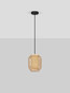 Preview: Nova Luce Pendelleuchte Asma E27 Natur Schwarz Stahl Rattan Ø20cm 9001114
