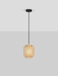 Preview: Nova Luce Pendelleuchte Asma E27 Natur Schwarz Stahl Rattan Ø20cm 9001114