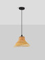 Preview: Nova Luce Pendelleuchte Aura E27 Natur Schwarz Stahl Rattan Ø45cm 9001117