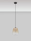Preview: Nova Luce LED Pendelleuchte Oblo 3W warmweiss 3000K Bernstein Schwarz Glas Metall Ø16cm 9009173