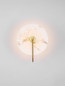 Preview: Nova Luce LED Wandleuchte Maru 6W warmweiss 3000K Messinggold Stahl Aluminium 31x25cm 9019757
