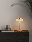 Preview: Nova Luce LED Tischleuchte Bion 6W warmweiss 3000K Messinggold Metall Ø15cm 9186947