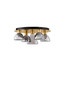 Preview: Nova Luce LED Deckenleuchte Voi dimmbar 40W warmweiss 3000K Schwarz Messinggold Glas Metall Ø57cm 9236310