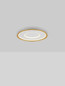 Preview: Nova Luce LED Deckenleuchte Figin dimmbar 40W CCT warm-/neutralweiss 2700-5000K Gold Stahl Aluminium Ø50cm 9248179