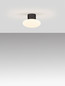 Preview: Nova Luce LED Außen-Deckenleuchte Ali 6W warmweiss 3000K IP65 salzwasserfest Anthrazit Aluminium Ø17,5cm 9971456